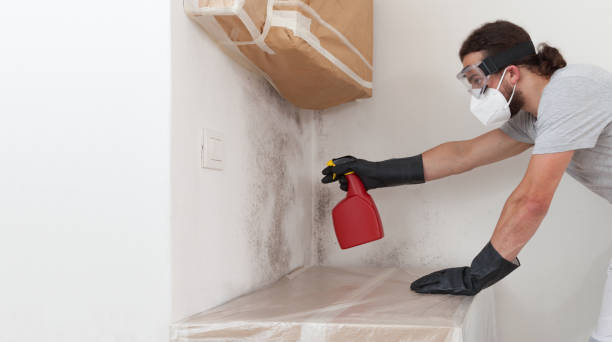 Professional Crawl Space Mold Removal technician working in Monkton, MD
